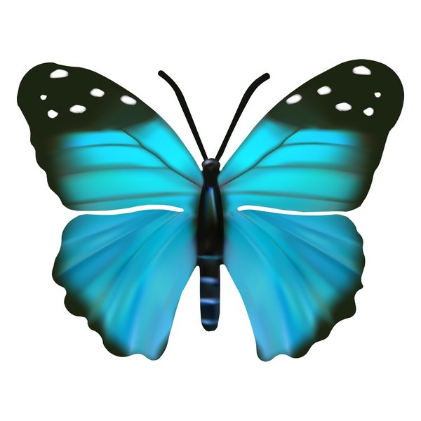 Next Innovations Blue Butterfly Metal Wall Art 101410015-BLUE